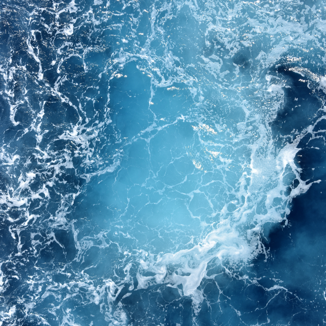 Les trésors de la mer au service de la peau