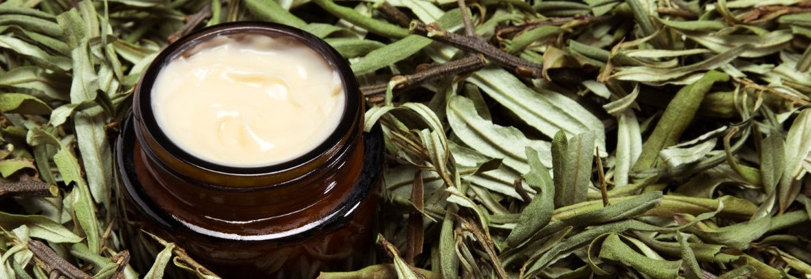 Les effets des plantes dans les crèmes